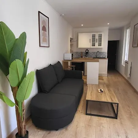 Apartment T2 Cosy Rue Prefecture, Hyper Centre Dijon